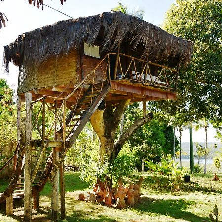 Art Jungle Hotel Itacare Luaran gambar