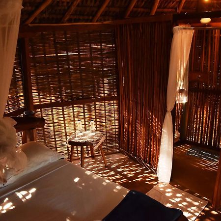 Art Jungle Hotel Itacare Luaran gambar