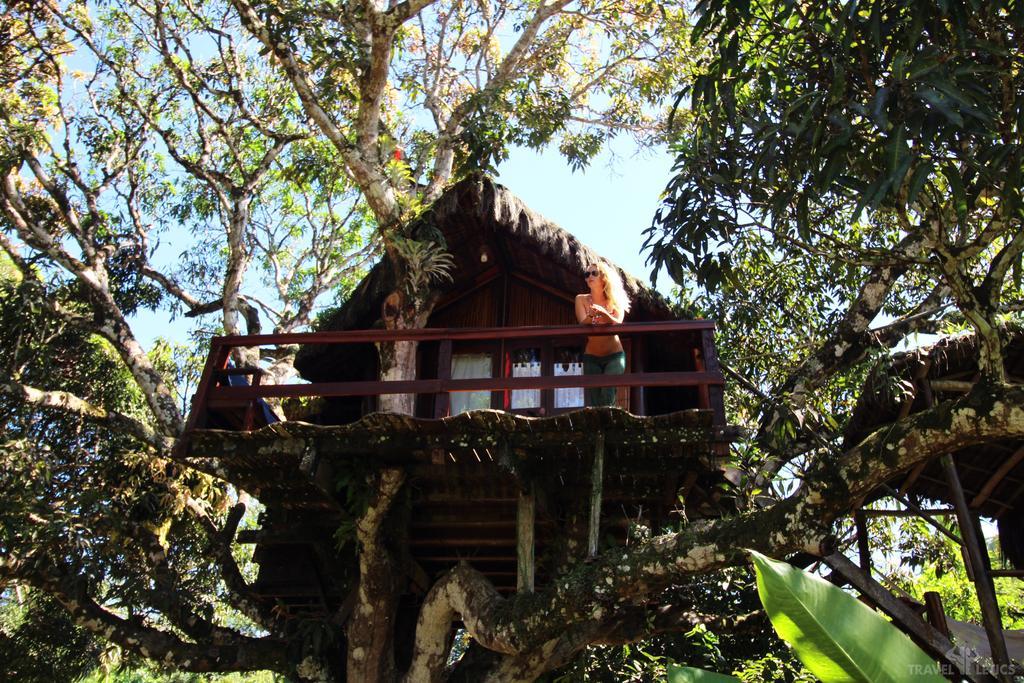 Art Jungle Hotel Itacare Luaran gambar