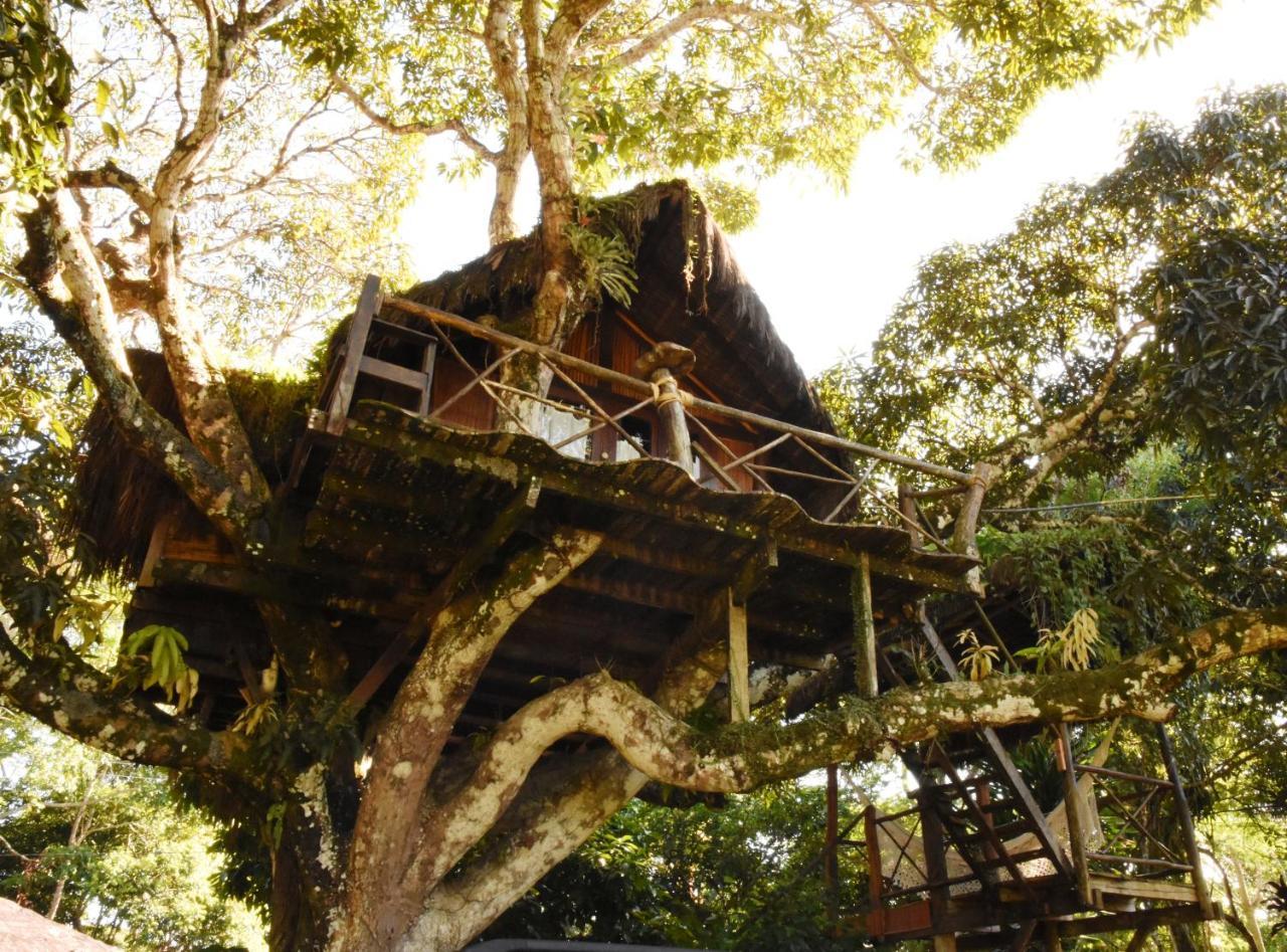 Art Jungle Hotel Itacare Luaran gambar