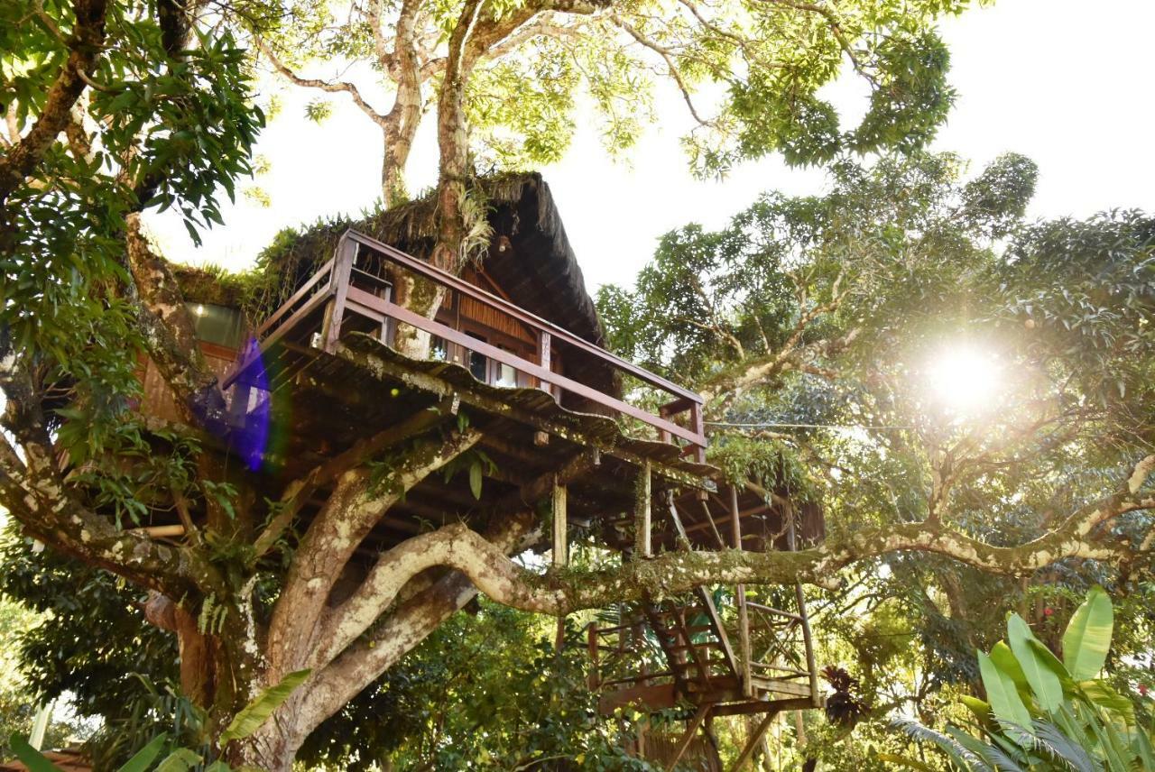 Art Jungle Hotel Itacare Luaran gambar
