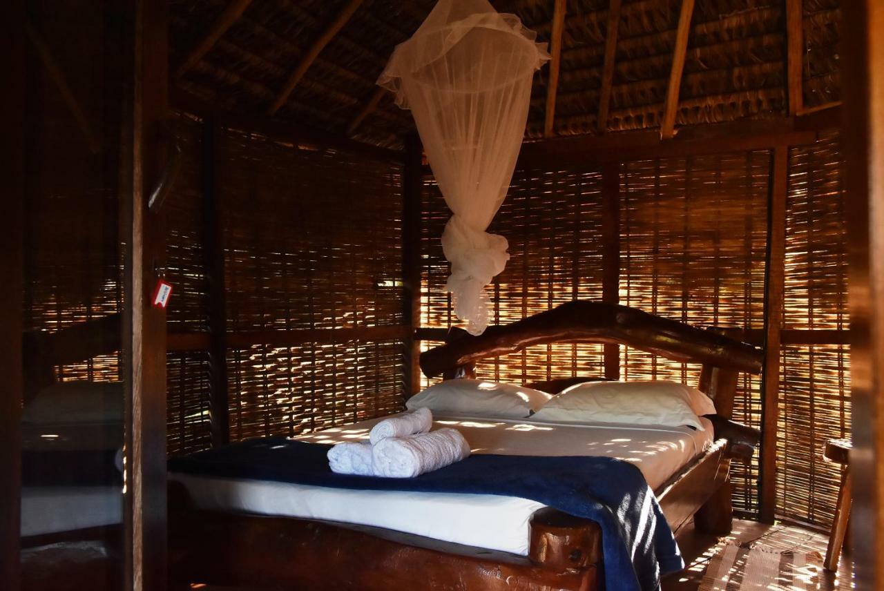 Art Jungle Hotel Itacare Luaran gambar
